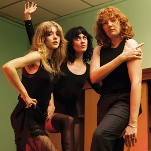 Folk Bitch Trio avatar